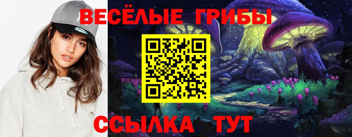 Псилоцибиновые грибы Magic Shrooms  Вход с VPN  наркошоп  Югорск  Галлюциногенные грибы Psilocybine cubensis 
